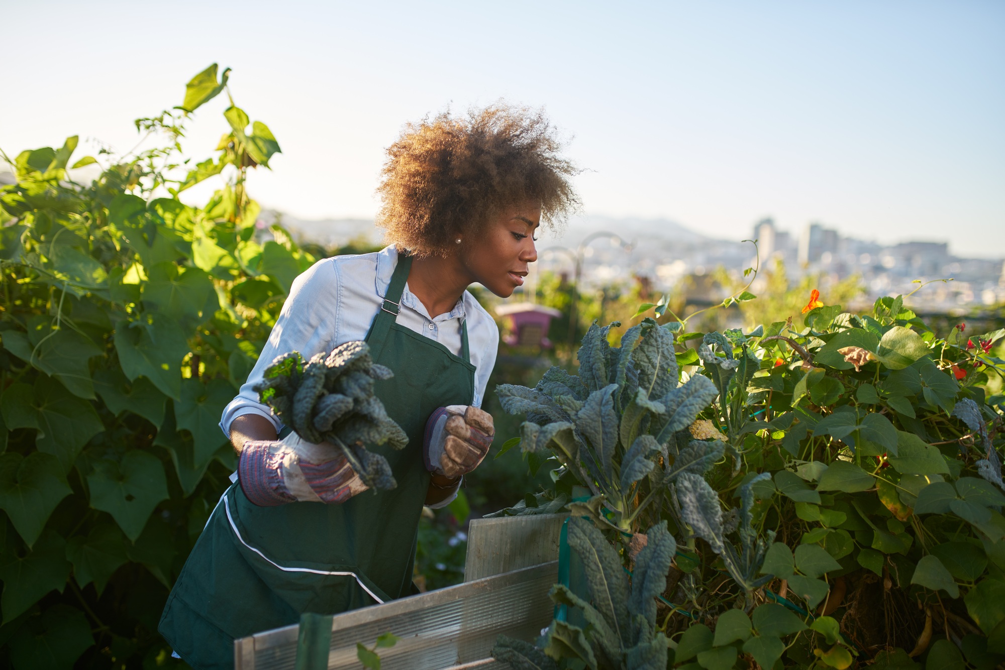 Urban Gardening‑Initiative: Gemeinschaftsgärten in Großstädten