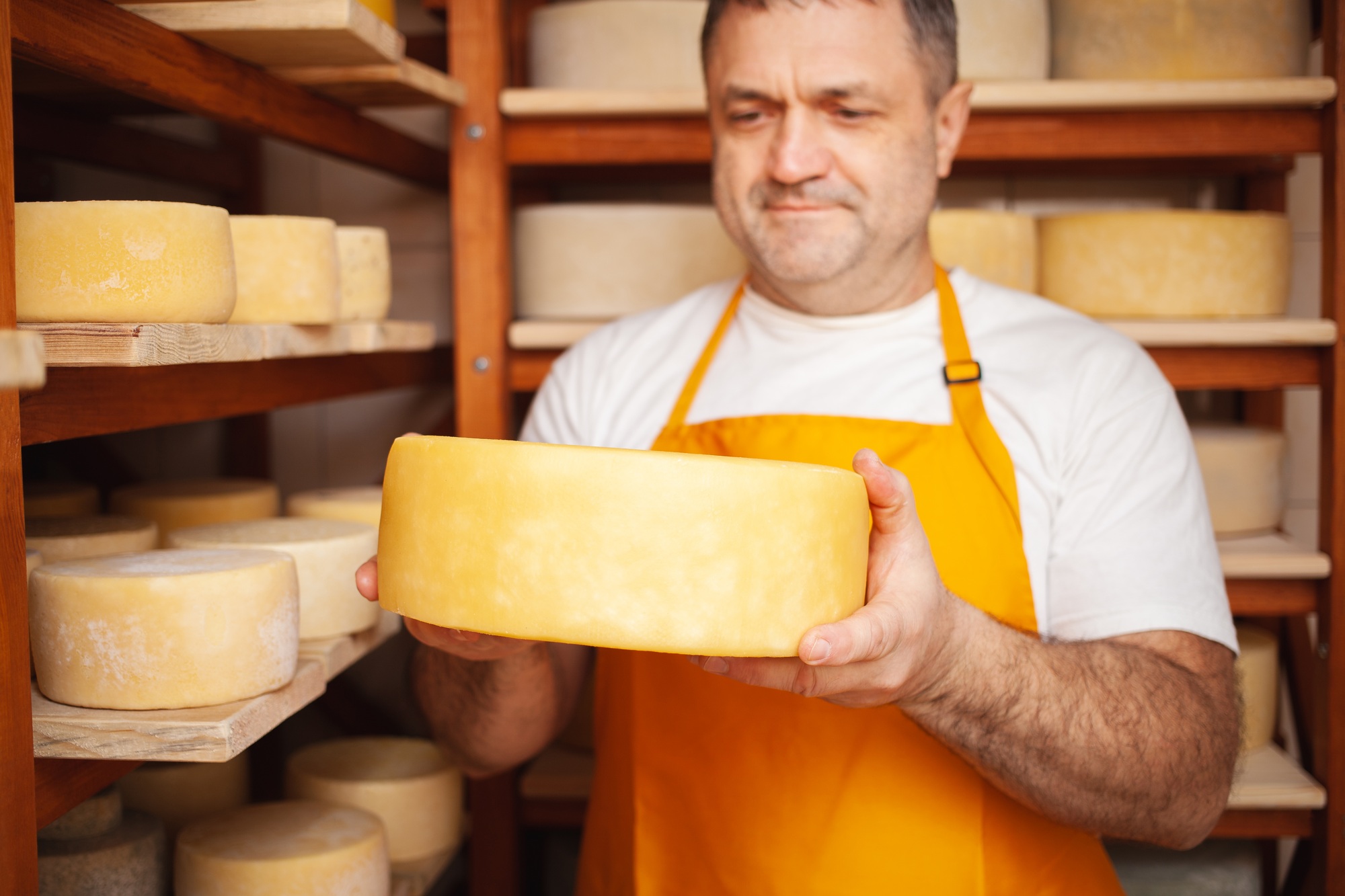 Portrait of cheesemaker in cellar, basement. Home cheese production, business, entrepreneur. Indoors